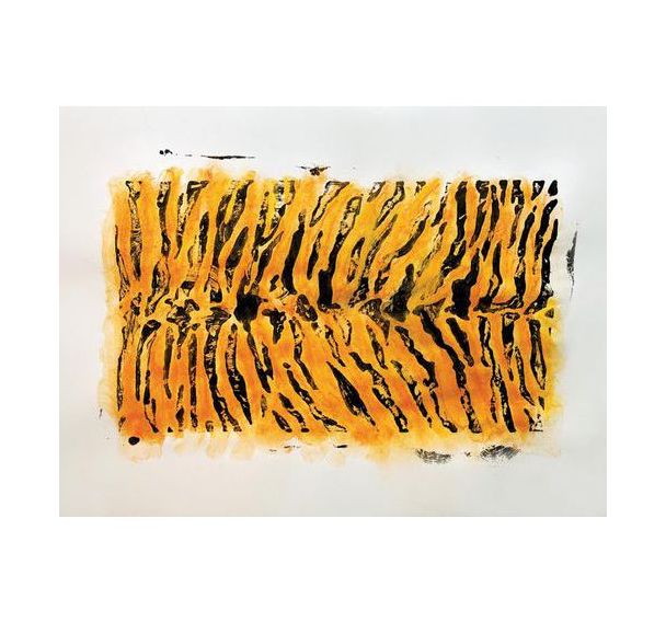Lot de 10 plaques animaux sauvages 21.5 x 15 cm