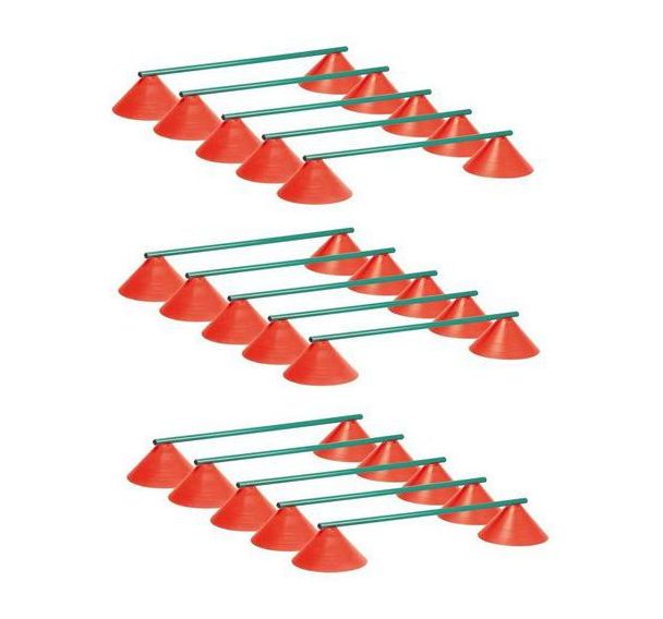 Lot de 15 mini-haies 15cm multi-marker géant