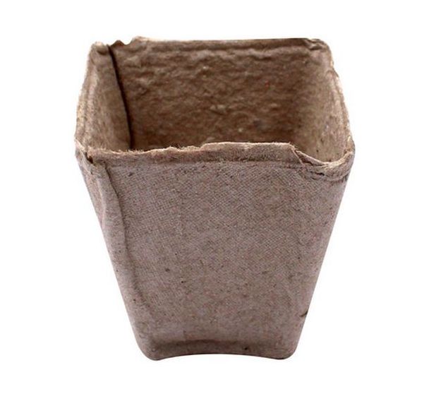 Lot de 20 pots biodégradables 8 x 8 cm