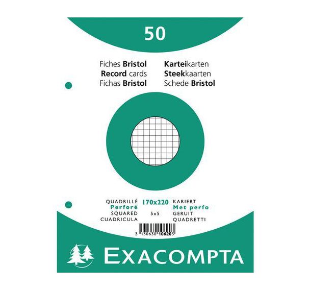 Lot de 24 Paquet 50 fiches sous film quadrillé perforé 170x220mm