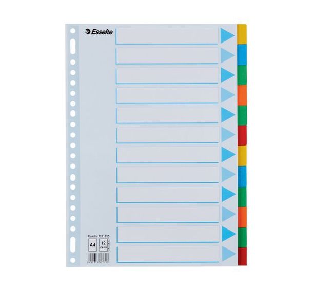 Lot de 25 Intercalaire A4 - 6 touches Multicolore - Esselte