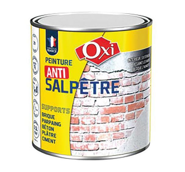 Lot de 2 Anti salpêtre de demi litres pour murs humides