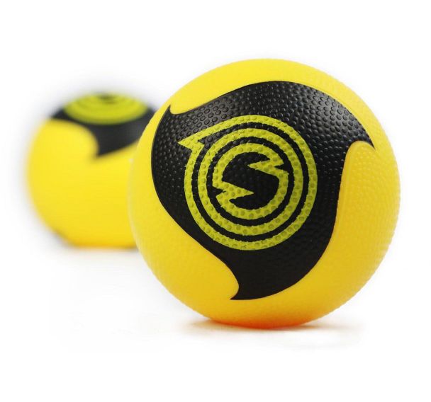 Lot de 2 Balles de Spikeball Pro kit