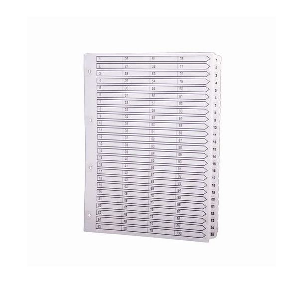 Lot de 2 Intercalaires imprimés plastifiées 100 touches A4-Blanc