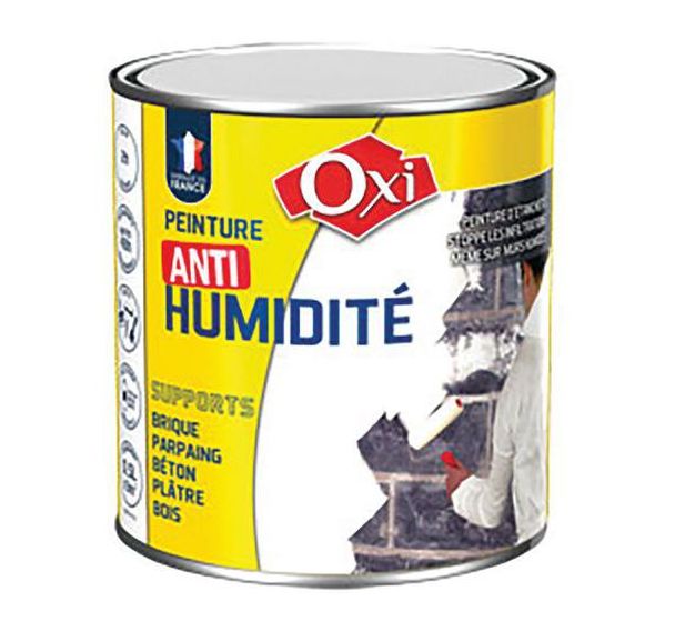 Lot de 2 Peinture à formule anti humidité de 500 ml
