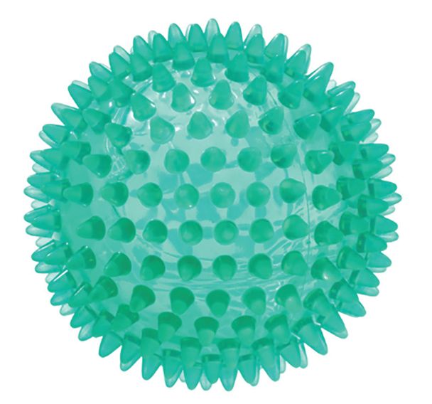 Lot de 2 balles de massage 10 cm