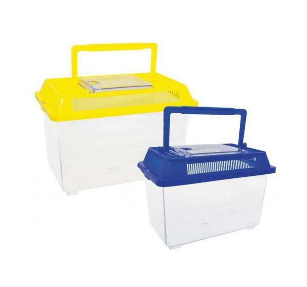 Lot de 2 boîtes insectes