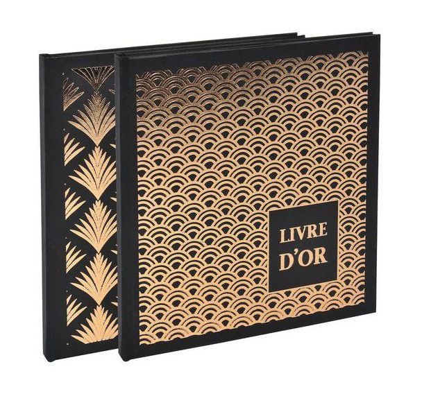 Lot de 2 livres d'or 140 pages 21x19cm PALMYRE Visuels assort