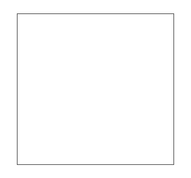 Lot de 30 Étiquette pour pince Proline XL Blanc