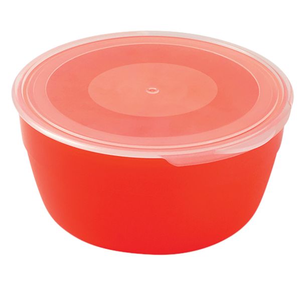 Lot de 4 boites de conservation polypropylène translucide Plastorex