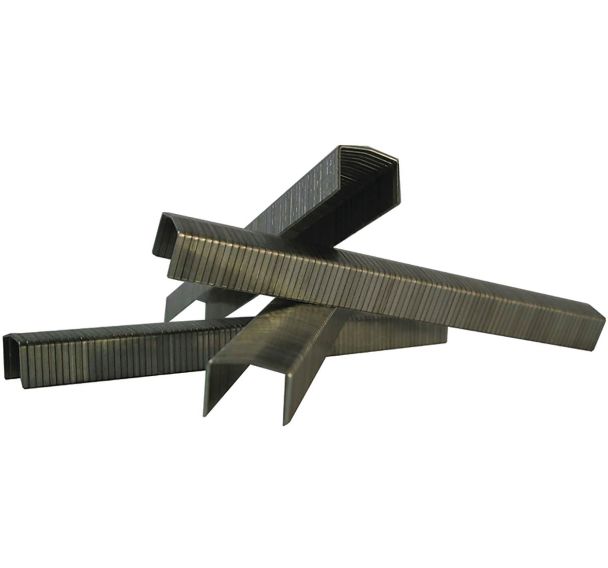 Lot de 5000 Agrafes Bostitch STCR 5019 1/4