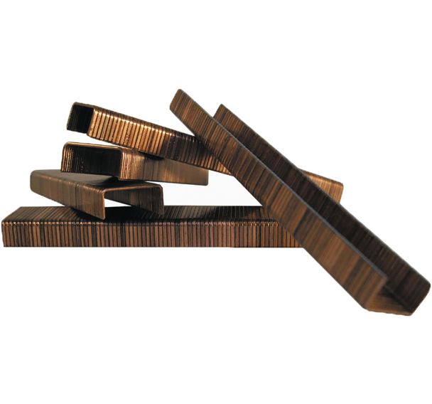 Lot de 5000 Agrafes P51-5