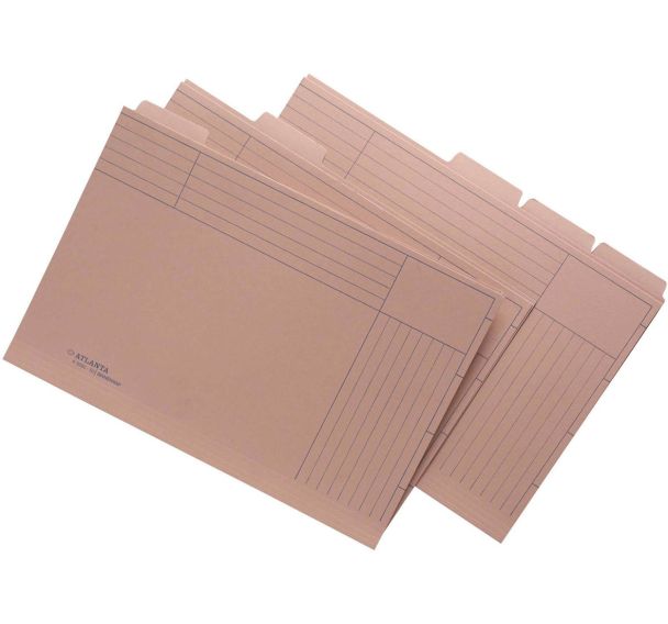 Lot de 50 Chemise sous-dossier Folio avec tab: chamois