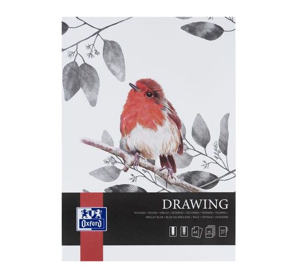 Lot de 5 Bloc dessin Drawing Oxford Art endossé A3 40p 160g