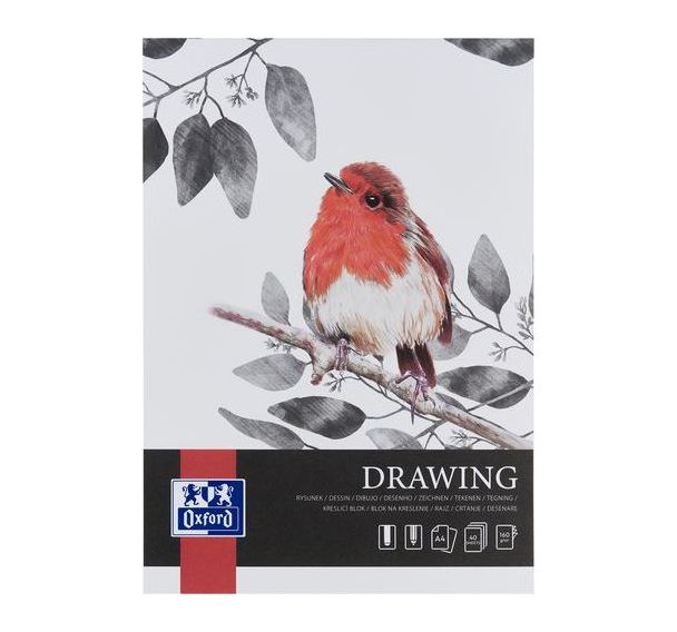 Lot de 5 Bloc dessin Drawing Oxford Art endossé A4 40p 160g