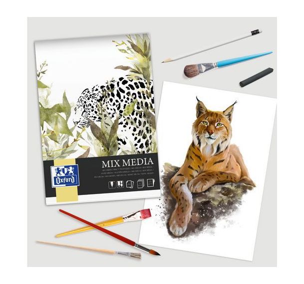 Lot de 5 Bloc dessin Mixmedia Oxford Art endossé A4 50p 225g