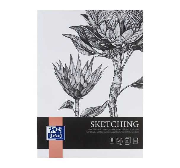 Lot de 5 Bloc dessin Sketching Oxford Art endossé A3 50p 120g