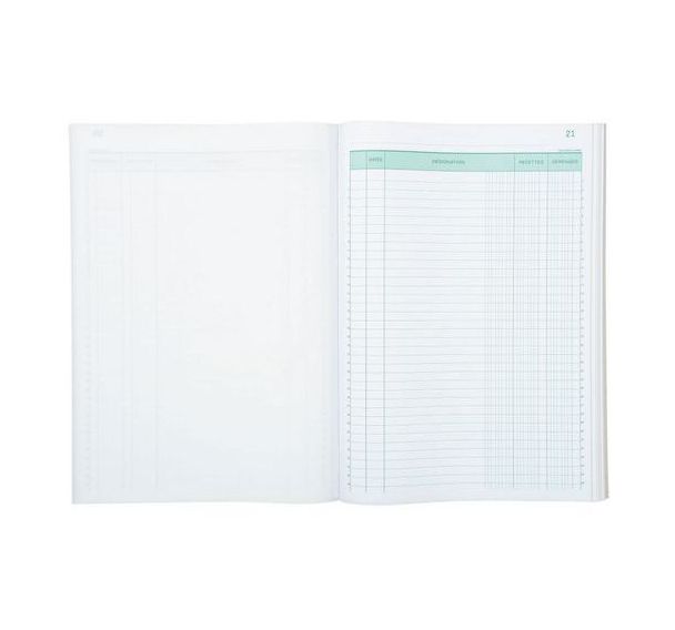 Lot de 5 Manifold recettes dépenses 29,7x21cm 50 feuillets