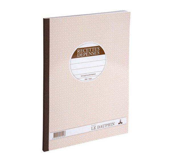 Lot de 5 Piqûre et registre spécial recettes et dépenses 50D A297X210