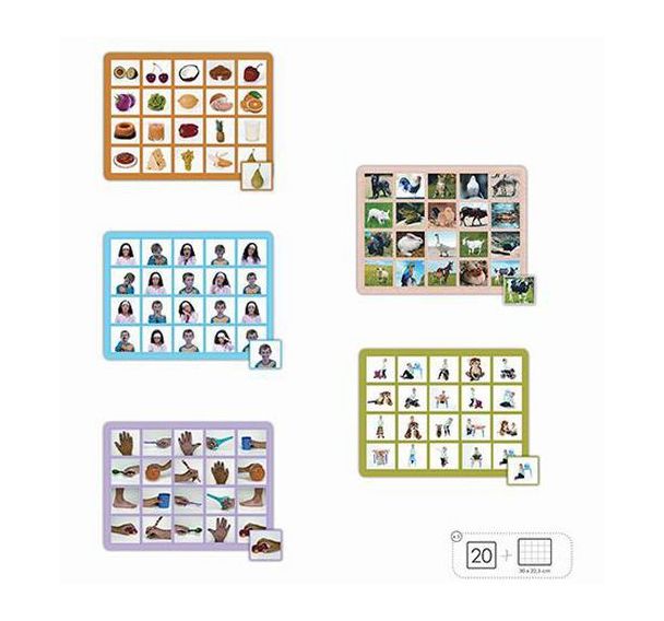 Lot de 5 lotos/photos