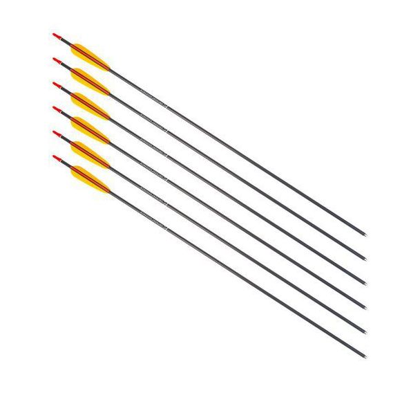 Lot de 6 Fleches aluminium