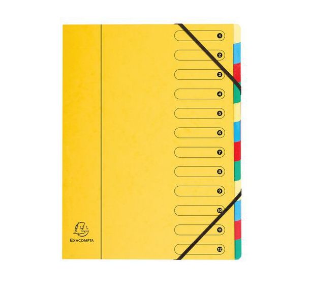 Lot de 6 Trieur harmonika fenêtres nature future 12 compartiments