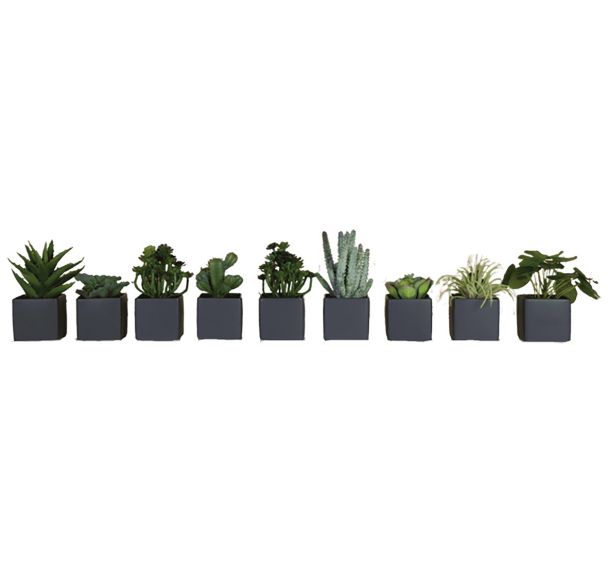 Lot de 9 pots carrés 7x7 9 plantes Tanaman