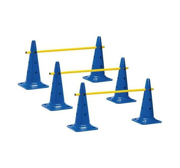 Lot de mini-haies cones 50 cm