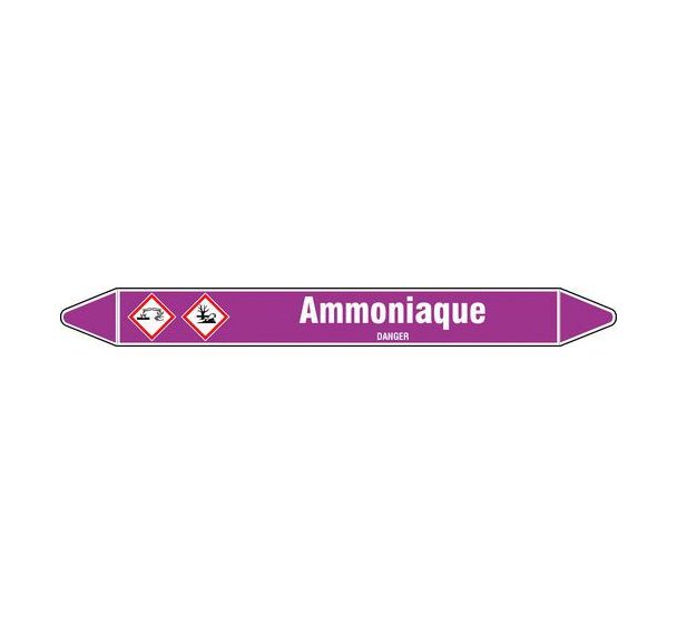 Marquage tuyauterie Amoniaque