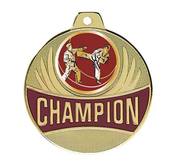 Médaille karaté - champion - 50mm