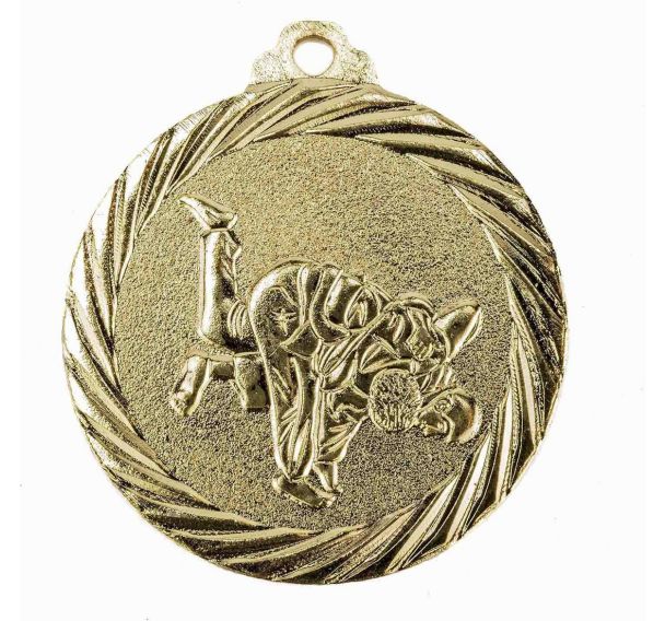 Médaille promotion judo