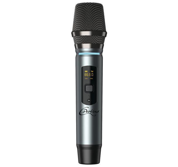 Microphone pour enceinte the ROADY-FL