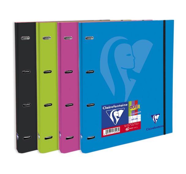 Mimesys cahier-classeur élastiqué A4 rembordé rigide coloris assortis avec feuillets mobiles perforés 200p Q.5x5 cadré 4 couleurs de bandes