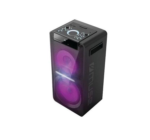 Enceinte Party Box Hi-Power M1920DJ - Muse