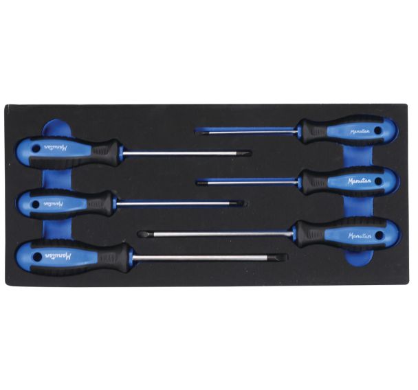 Module 1/3 avec 6 tournevis - Manutan