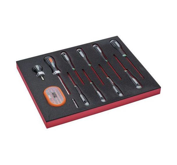 Module jeu tournevis TORX/embouts 12 pièces
