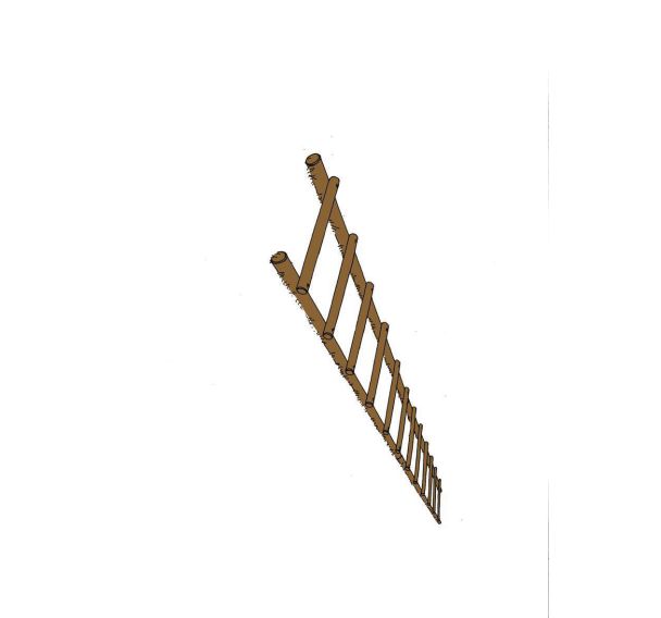 Module sportif saut de grenouille