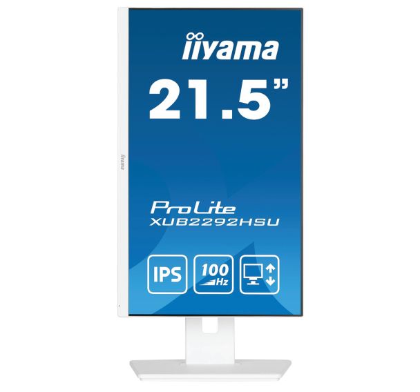 Moniteur 22'' LCD LED ProLite XUB2292HSU-W6 - iiyama
