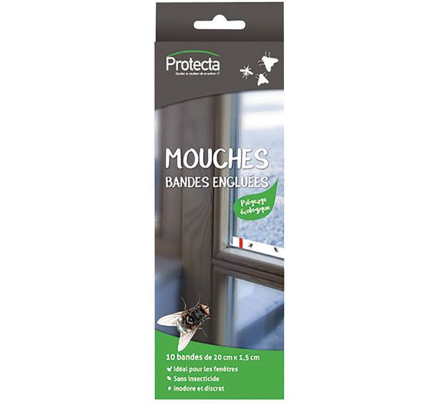 Mouches bandes engluées x 10