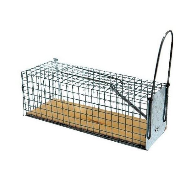 Nasse à rats entrée unique avec socle en bois