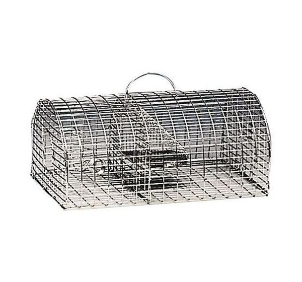 Nasse à rats multiprise en forme de tunnel