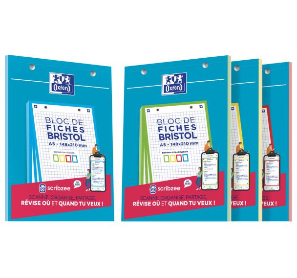 OXFORD Bloc de Fiches Bristol 2.0 A5 Petits Carreaux 5mm 30 Fiches Collées Bords Colorés Assortis
