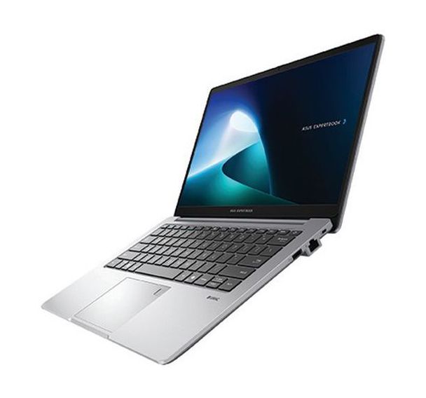 Ordinateur portable 14'' 512Go ExpertBook P1 P1403CVA-S60636X - Asus