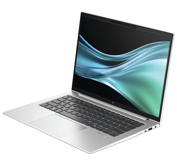 Ordinateur portable HP EliteBook 845 G11 Notebook 9G0G5ET#ABF - HP