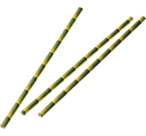 Paille en papier - Bambou - 20 cm - ? 6 mm