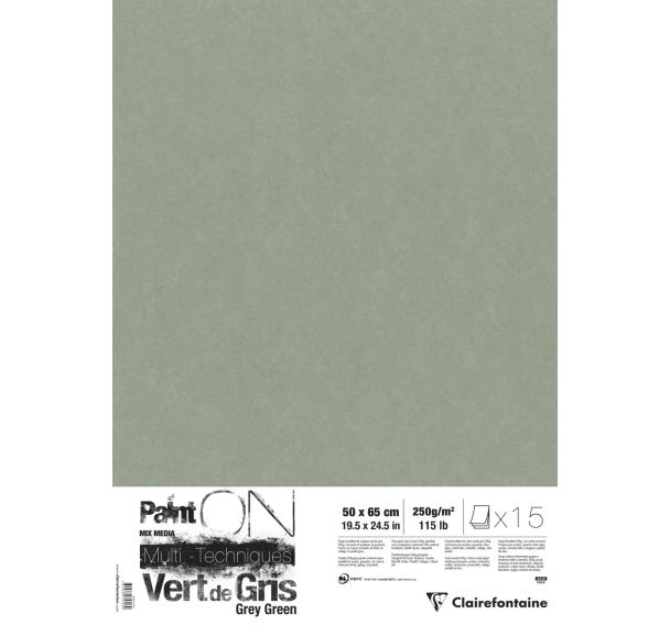 Paint'On Vert de Gris pqt 15 feuilles 50x65 250g