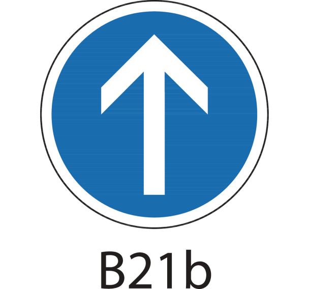 Panneau de signalisation d'obligation - B21b - Direction obligatoire à la prochaine intersection : tout droit