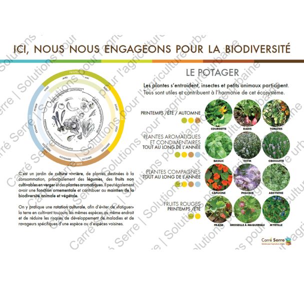 Panneau éducatif - Le potager
