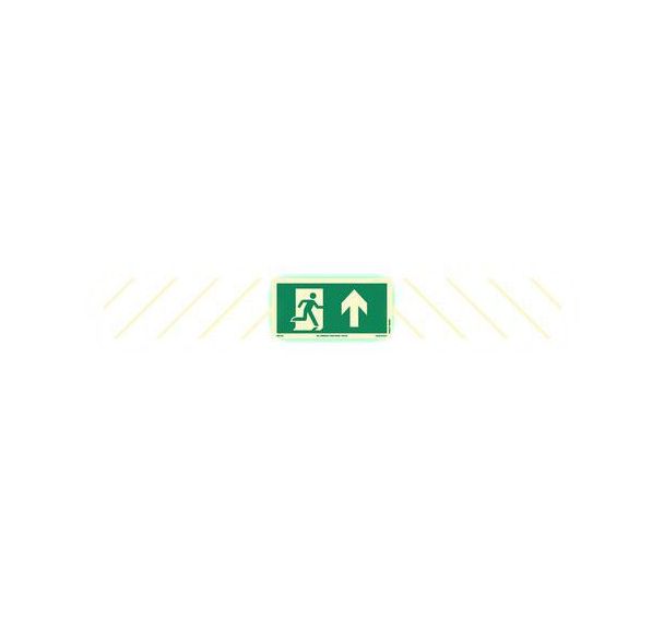 Panneau photoluminescent -Flèche d'urgence haut- Supernova+®