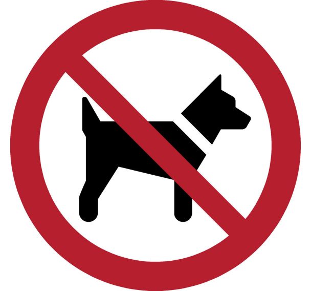 Panneau pictogramme Chien non admis - Djois Made By Tarifold